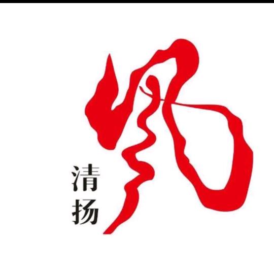 风清扬-专攻大底 形态