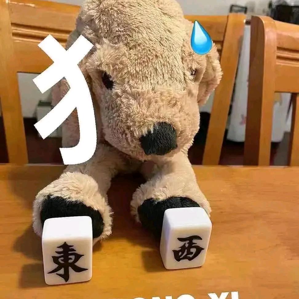 猫南北