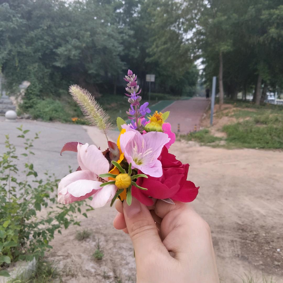 乐天派
