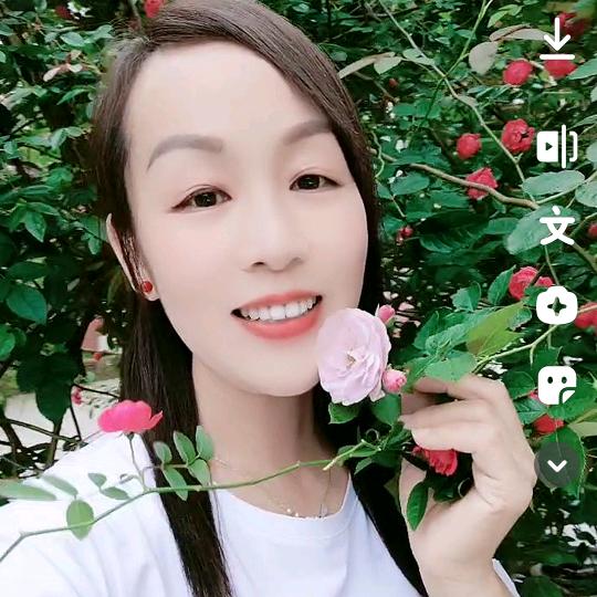 琴火