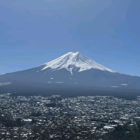 ✨圆圆的月亮🇨🇳