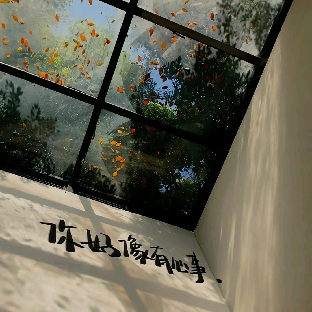 一生有你