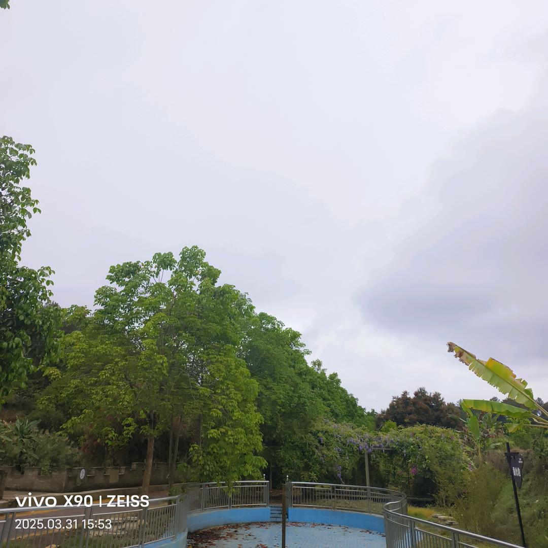 💞ℋღ张🍒᭄💞࿐࿐ᩚ