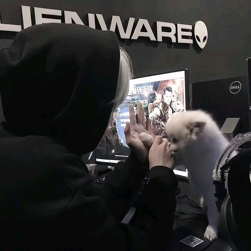 匿名网友