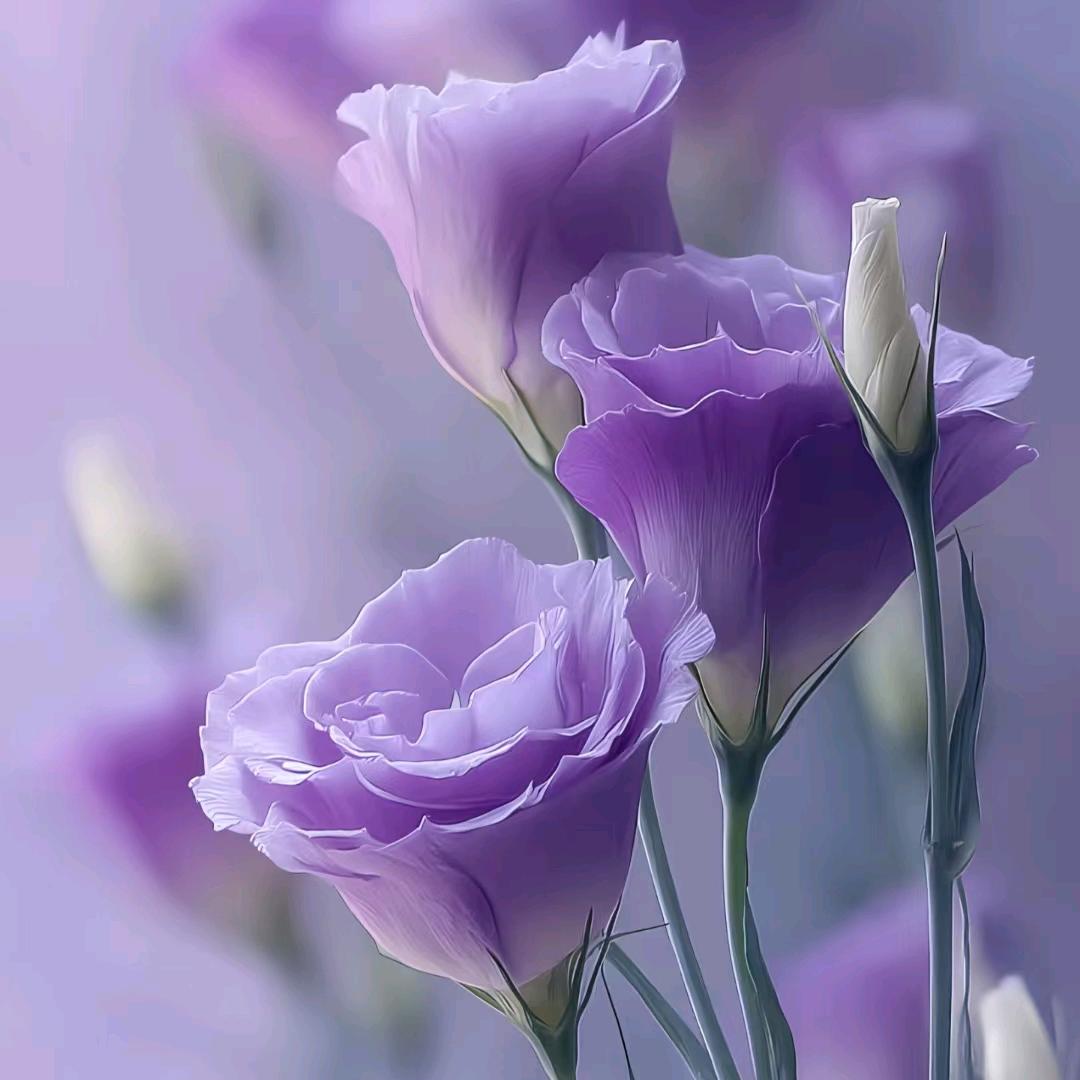 心宽，路自宽。