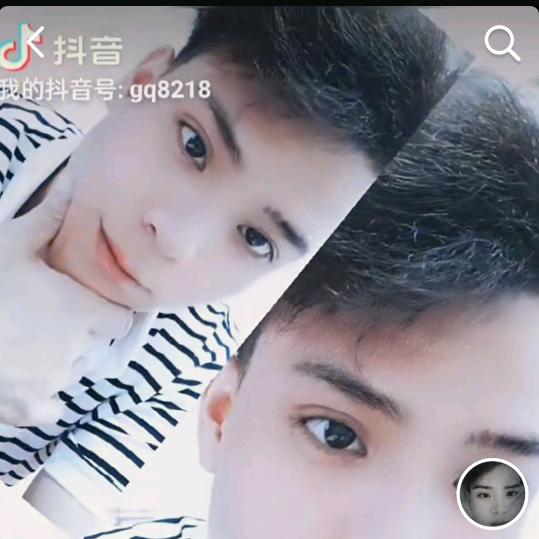 桂全