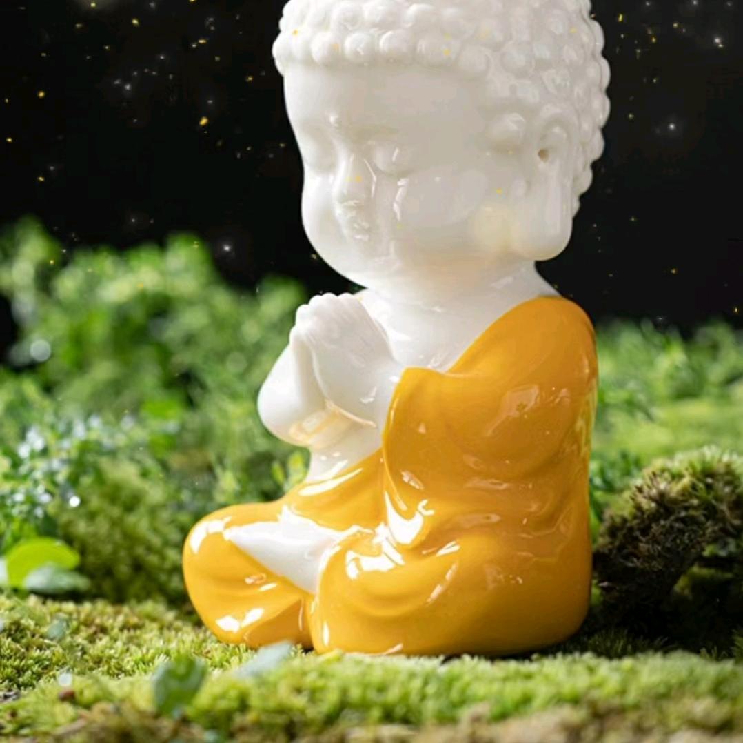 我飞翔蓝天