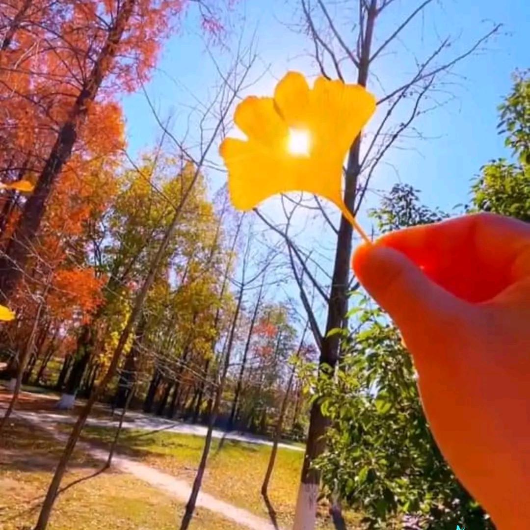 幸福开心每一天