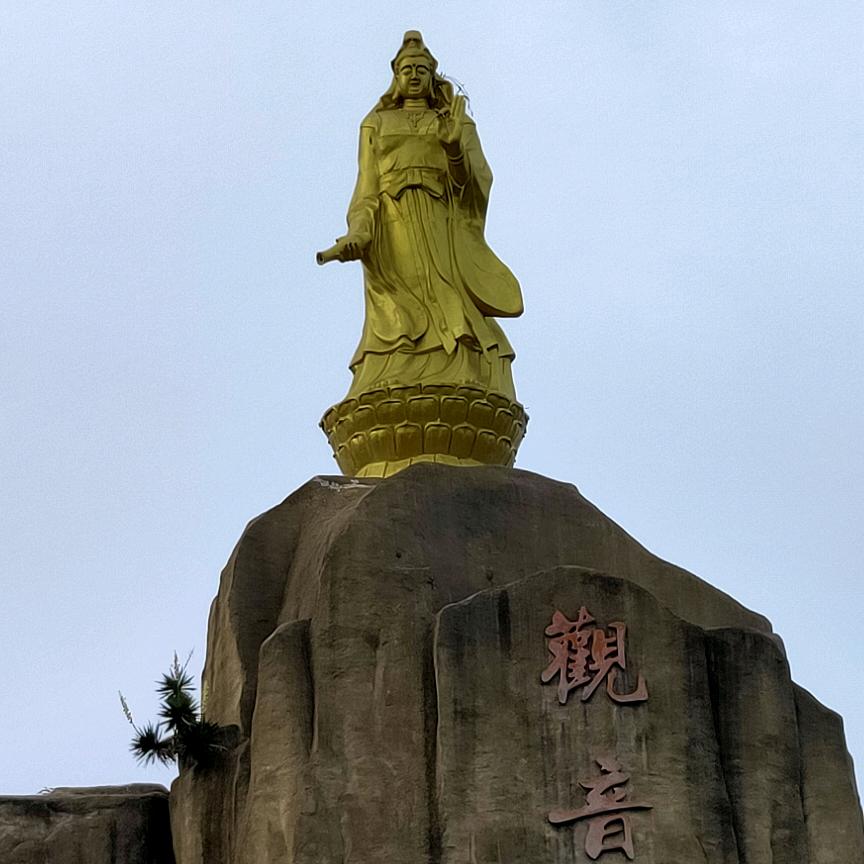 四哥<淡了情怎么续>