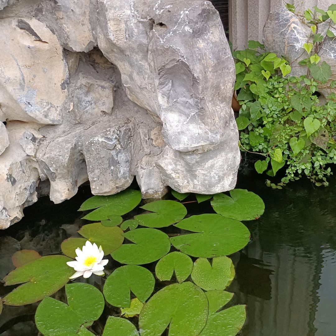 安吉盛楠民宿