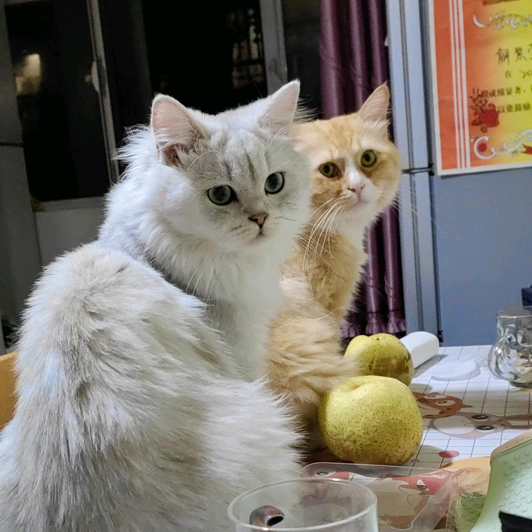 @大莹