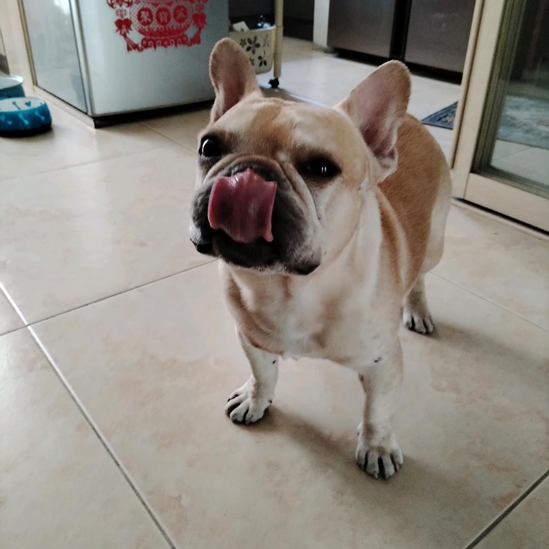 秋水荡漾（拒私聊）