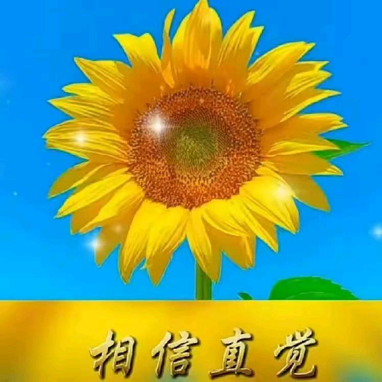 哒西路狄