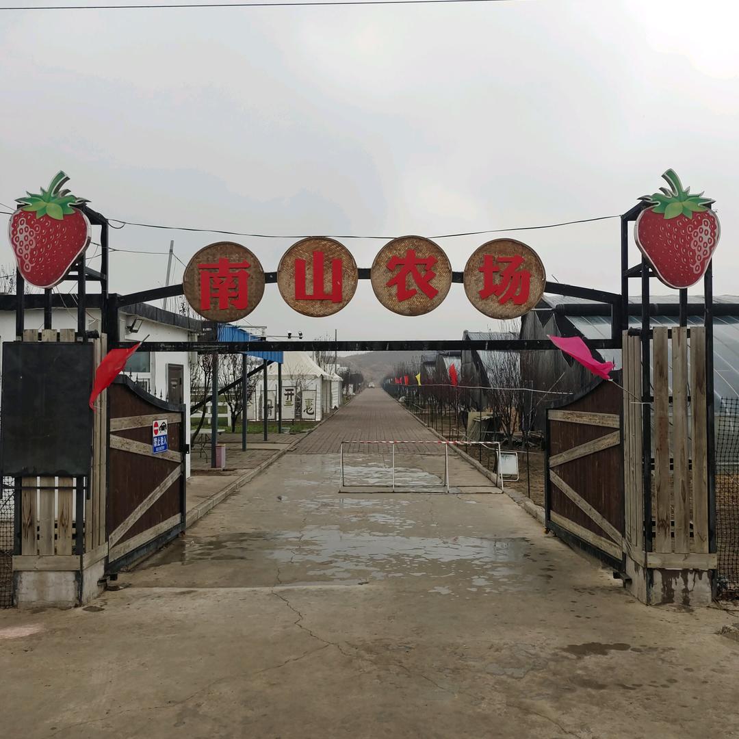 南山农场草莓园