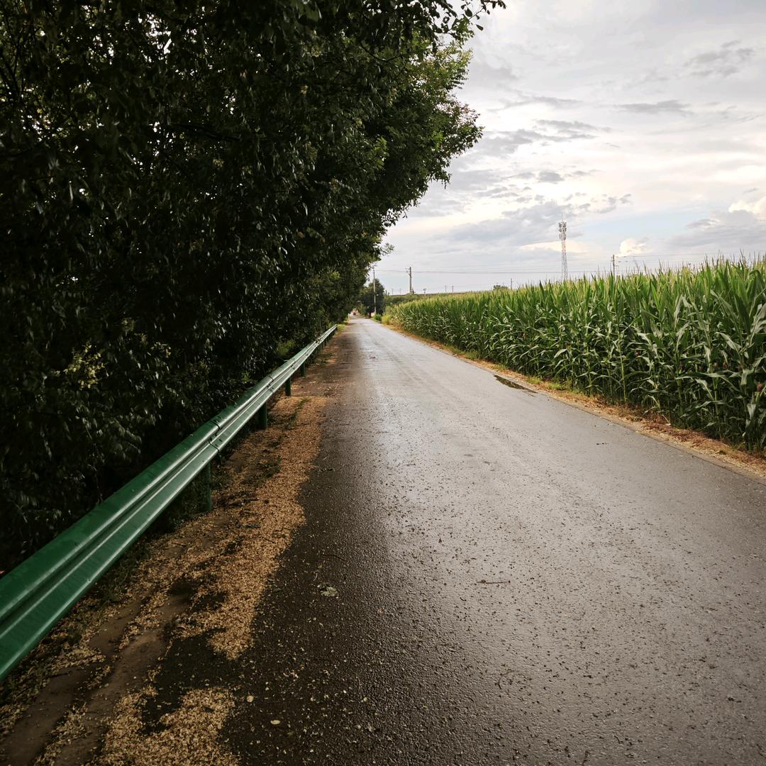 自律-坚持-重生