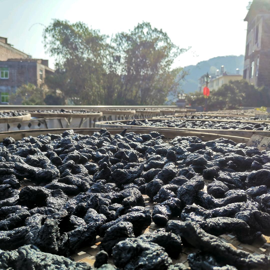 九制熟地非遗传承:张文筑