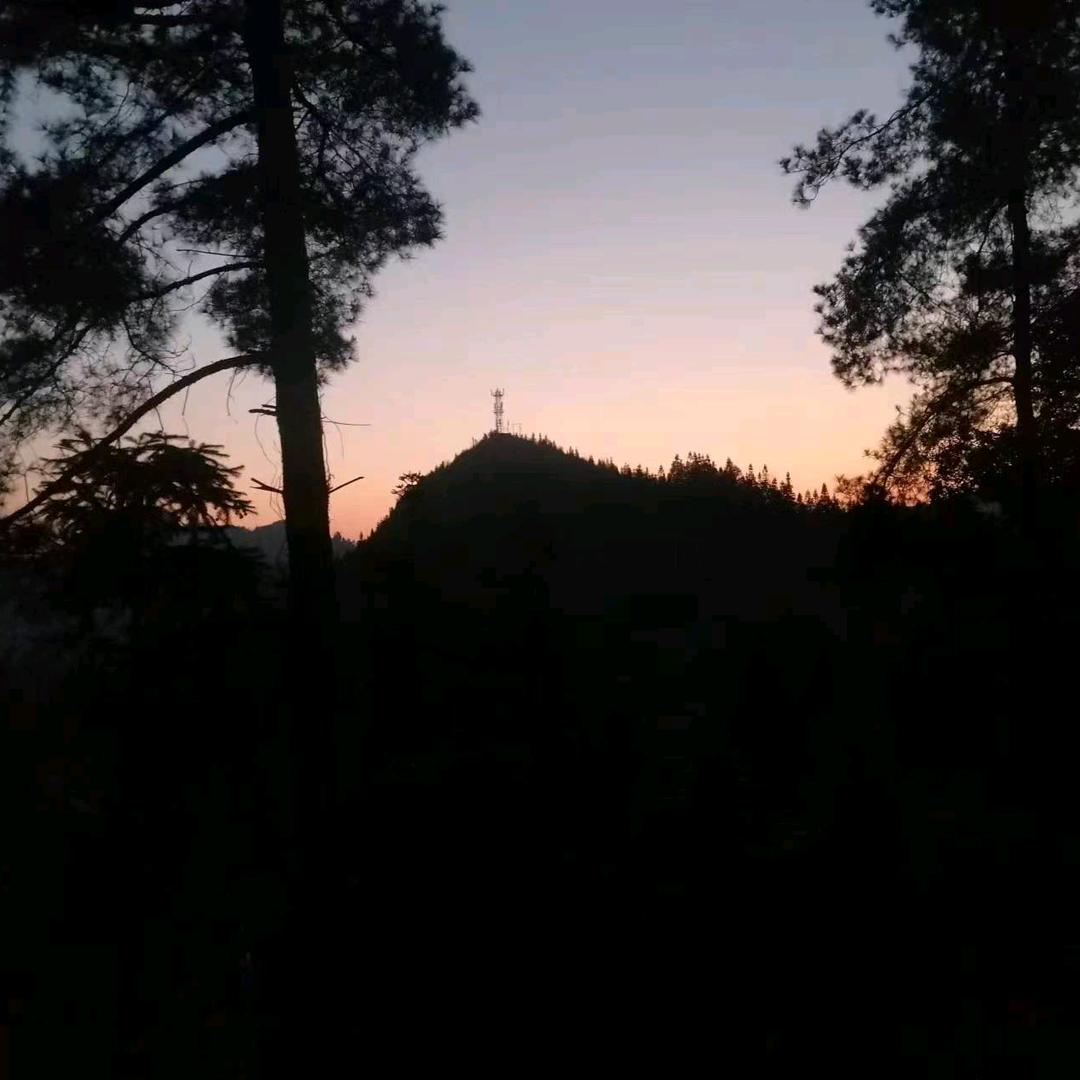 梓航贸易（精品干货批发配送）