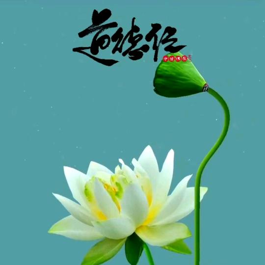 牛   哥