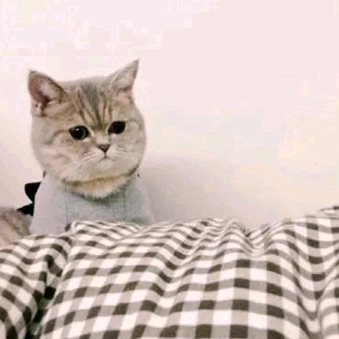 暖眸