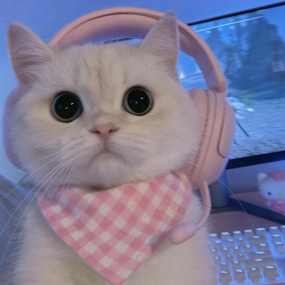 游游超爱玩