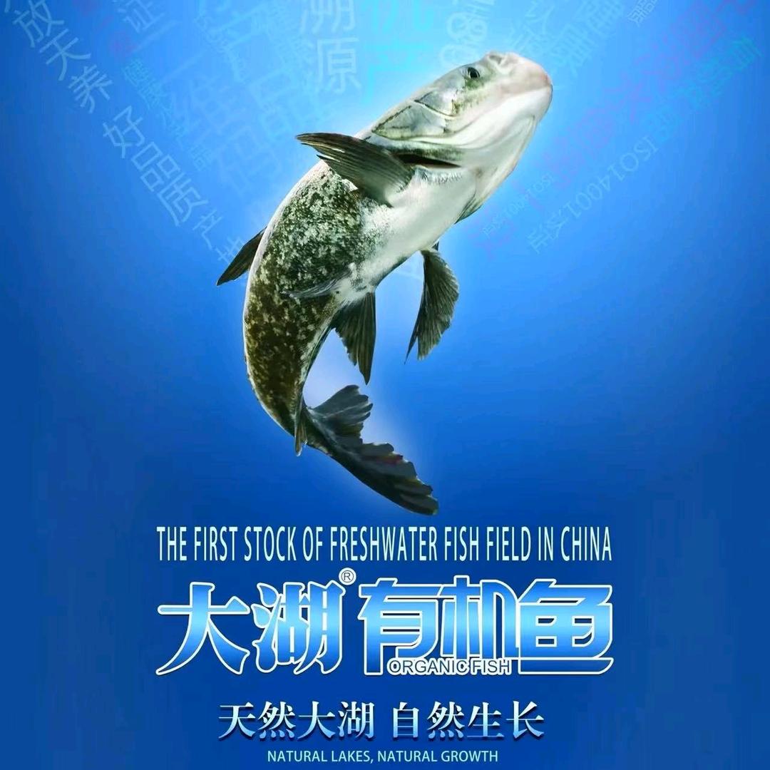 铁锅大头鱼313铁锅烀羊肉