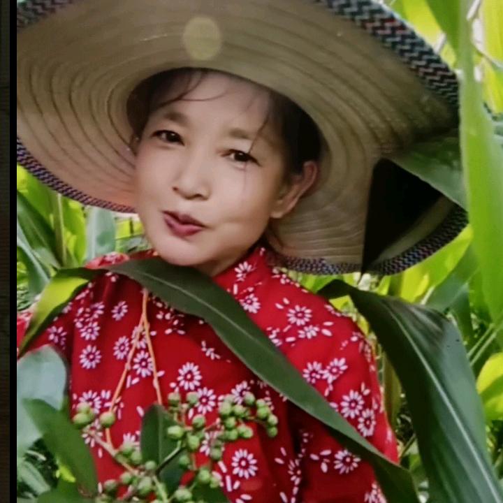 麦子