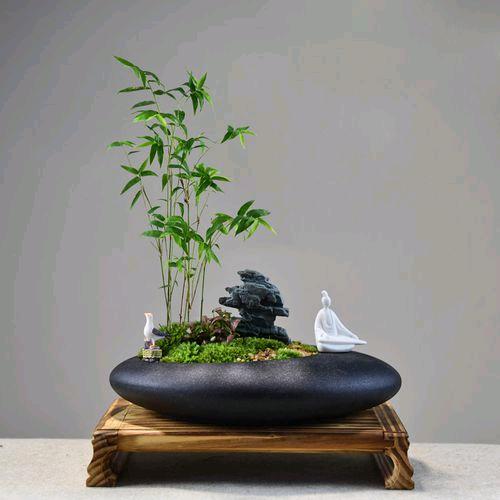 云间竹