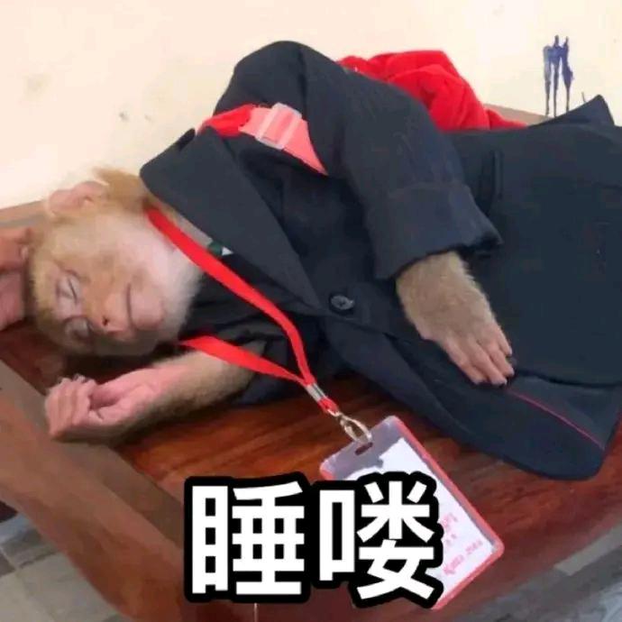 清寂（妆造版）