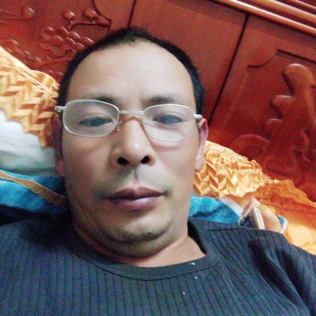爱情哈巴哥