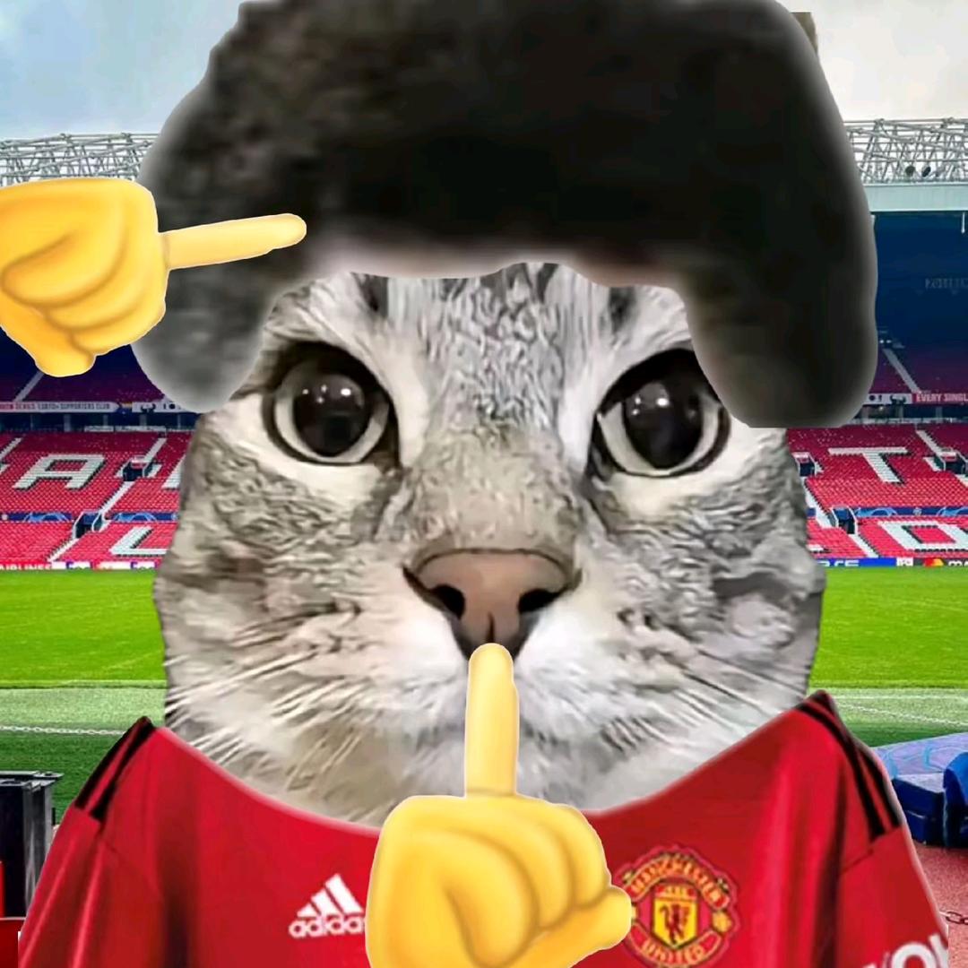 Azzj