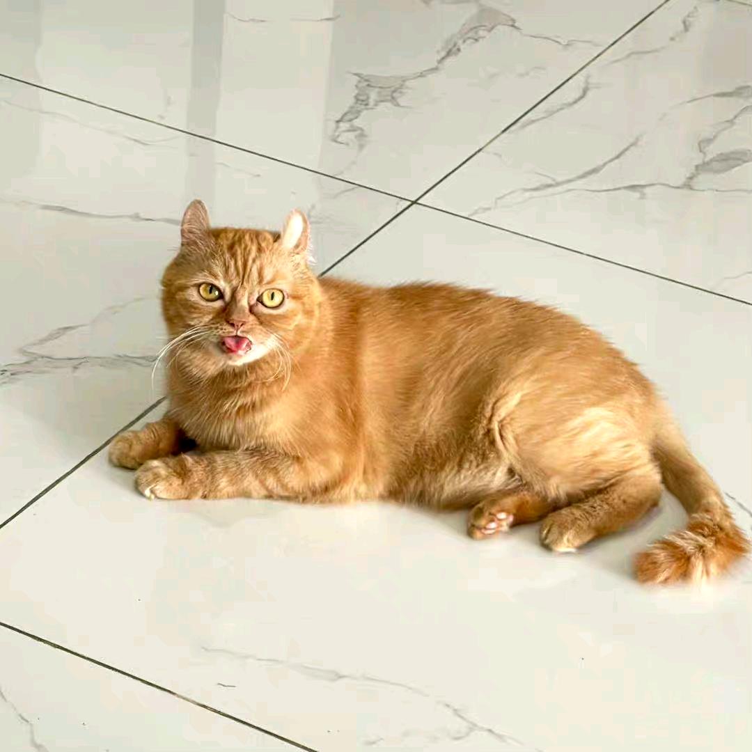 陈柱气！！！ ⁷ ² ⁴