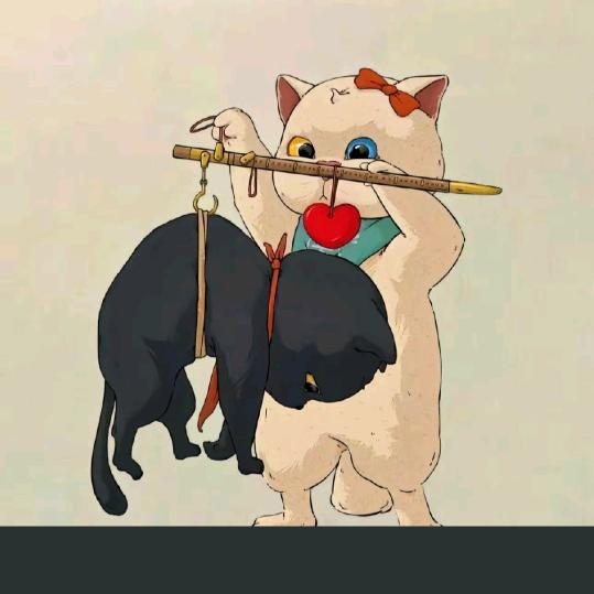 盘点新发现