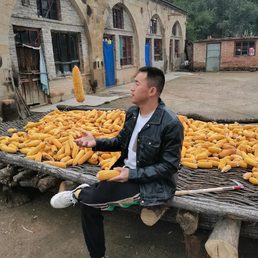 毛馿333
