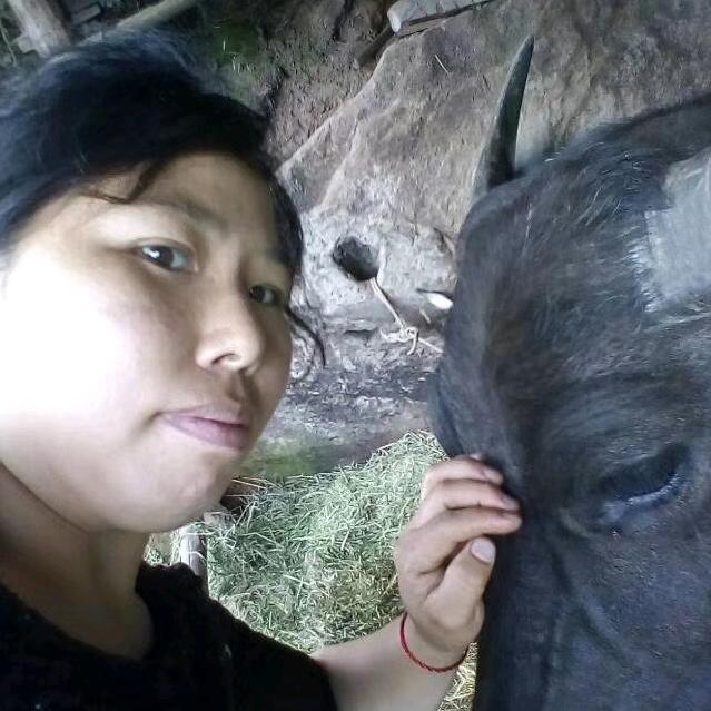 用户王心
