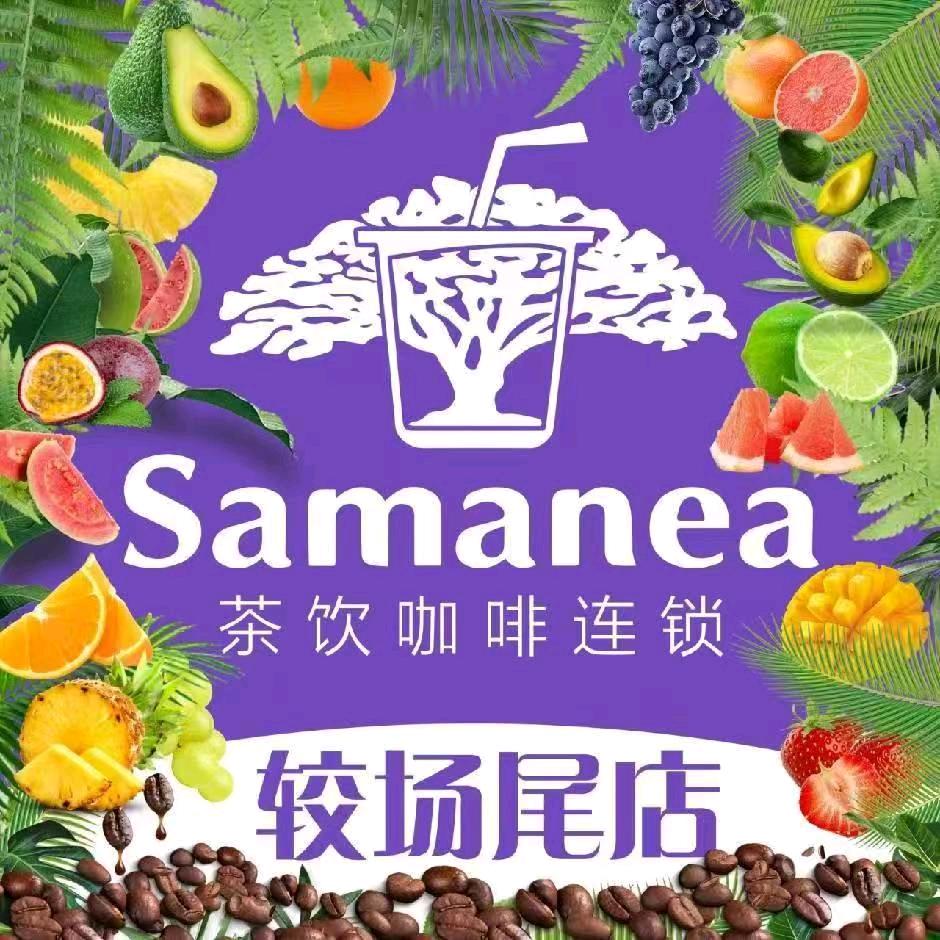 Samanea茶杯树（较场尾店）