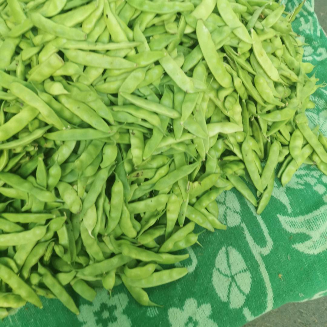 保定卖菜老太