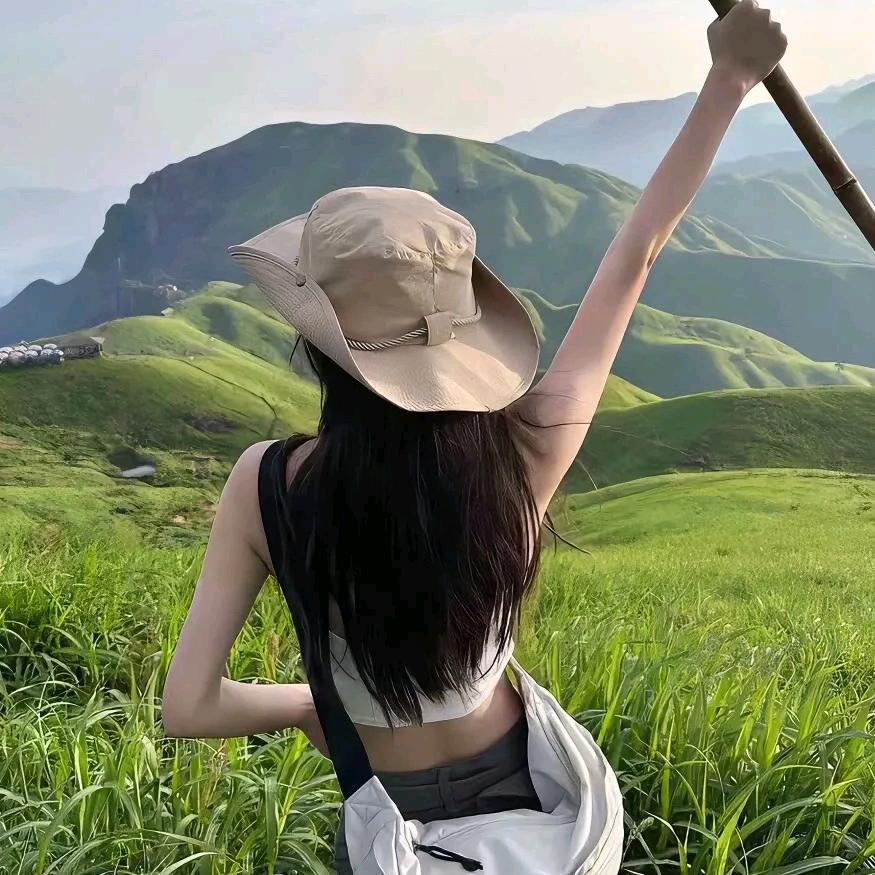 四喜丸子
