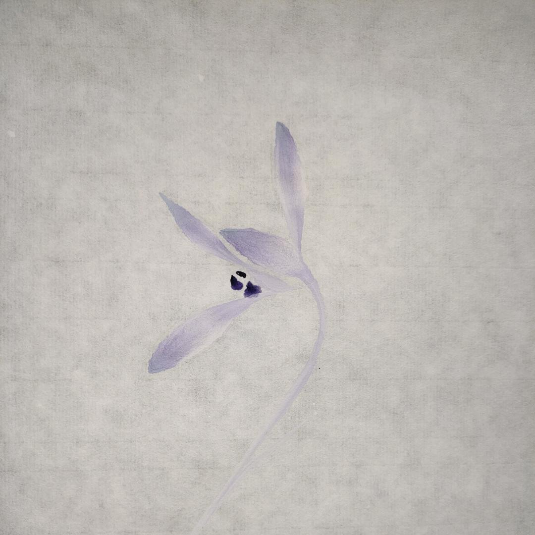 谷中仙