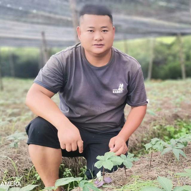文山佳垚农业       小周同学