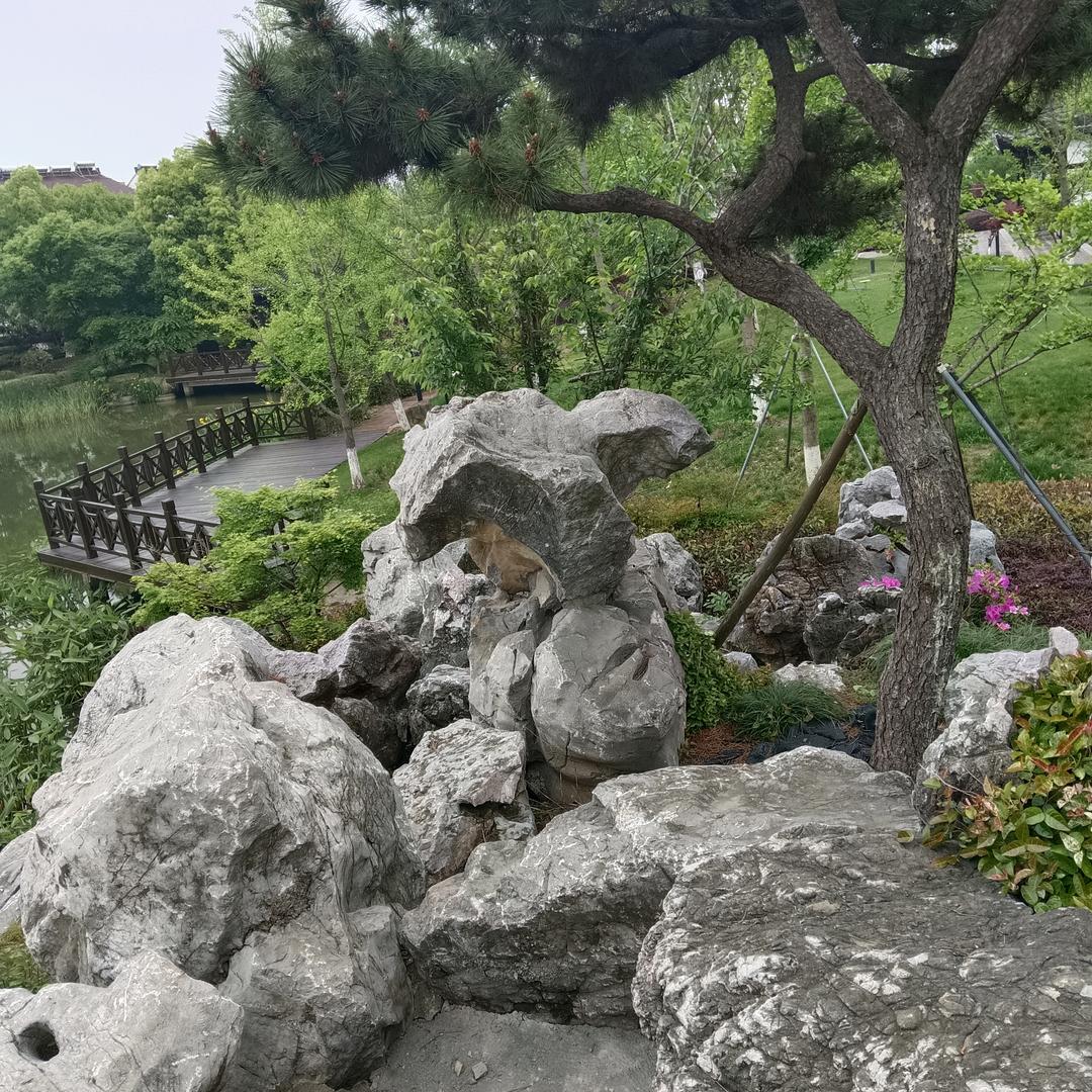 放飞自我