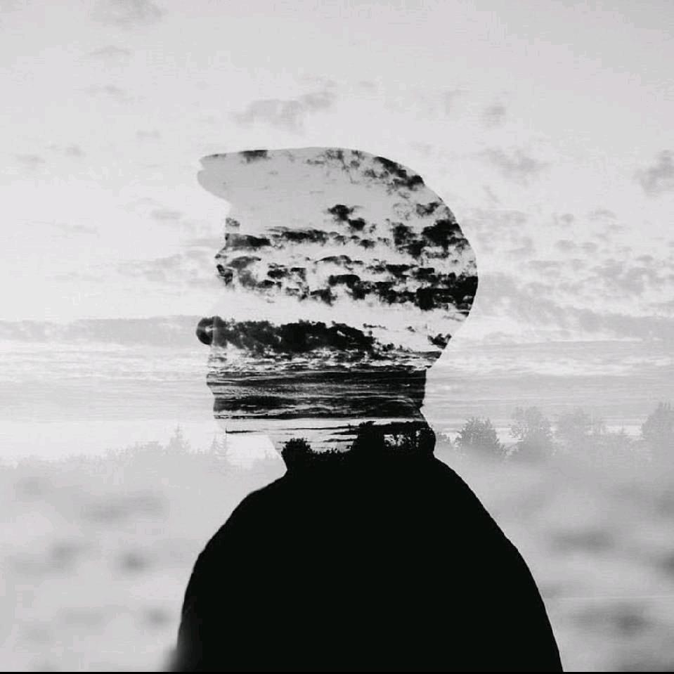 毒ぴぴ