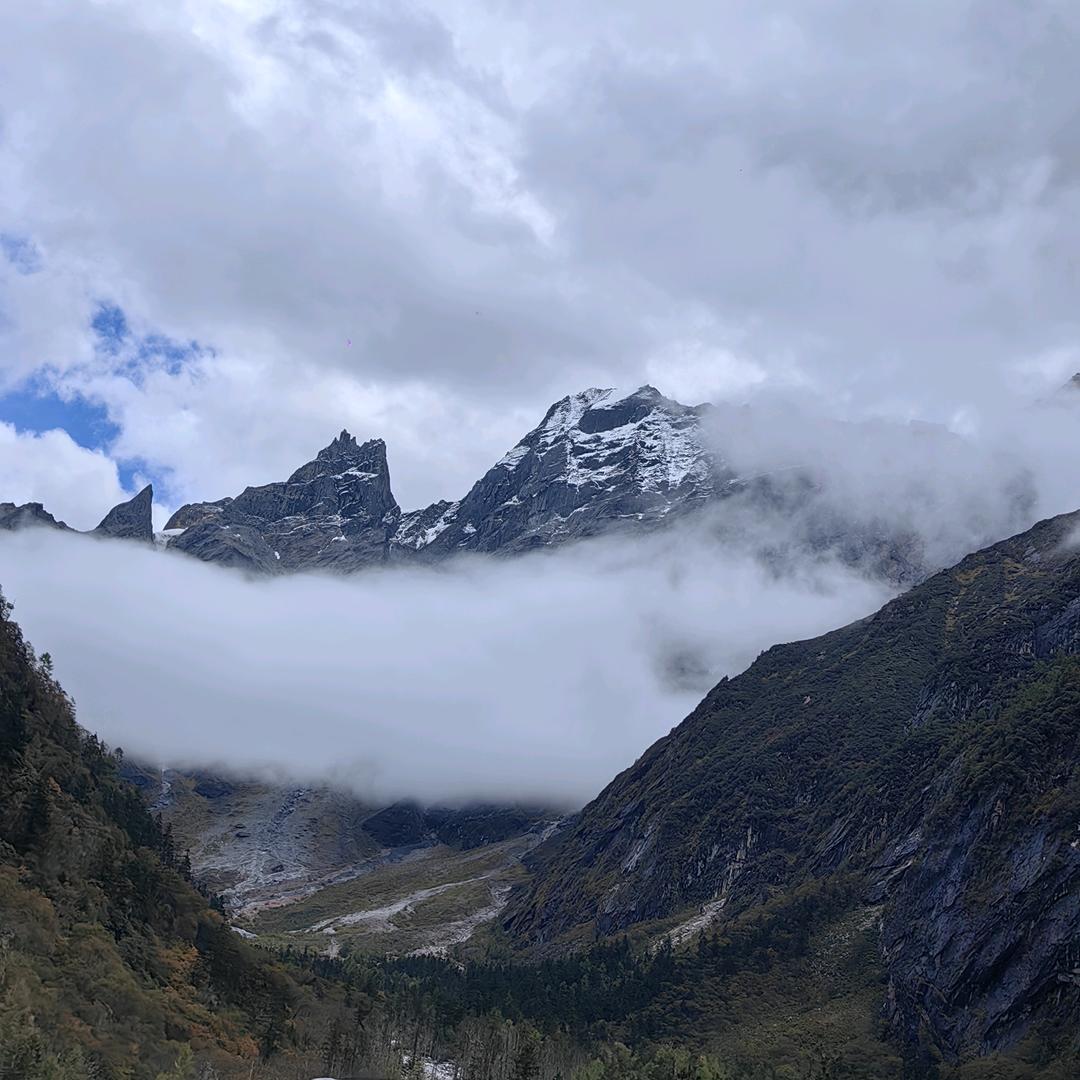 阿尼阿玛尼