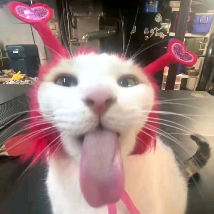 随便吃个小孩