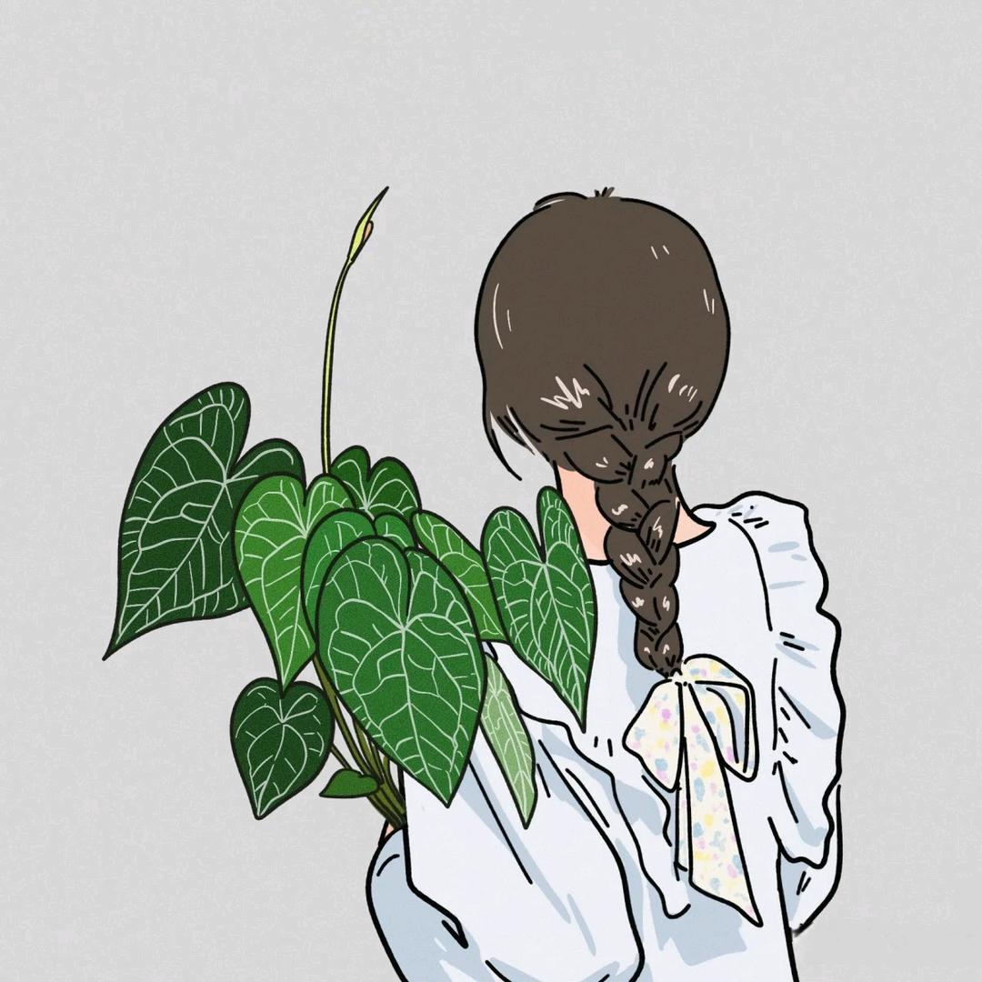 简汐的花园