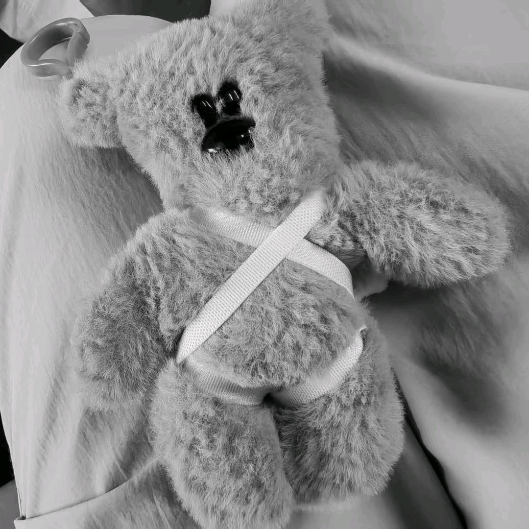 泰迪先生你快回来😭