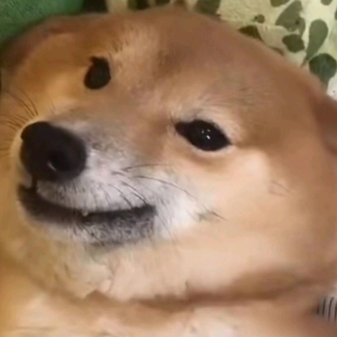Tan某明