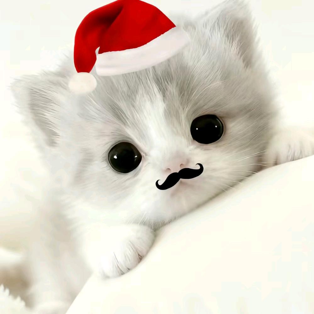 （◍°∇°◍）