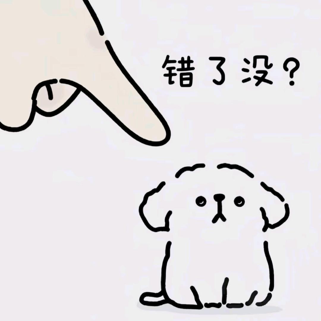 幸福密码✨（大人玩具）