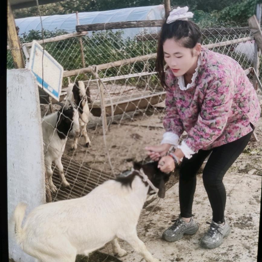 红红火火羊肉汤馆