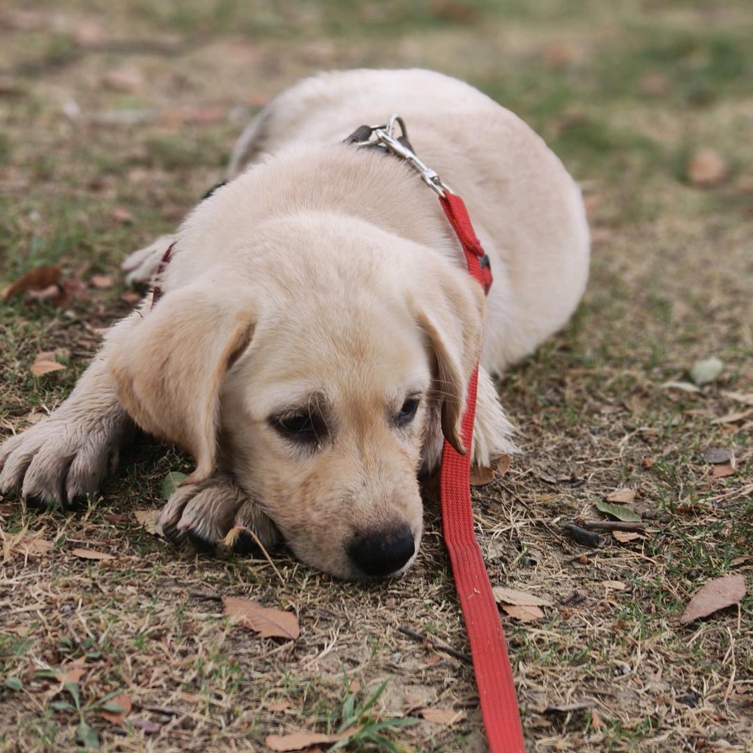 ꒰ঌWꕤu໒꒱🌷